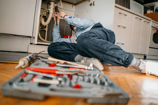 Best Plumbing Repair Near Me  in Osseo, MN