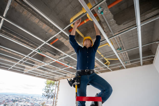 Best Clogged Drain Plumber  in Osseo, MN