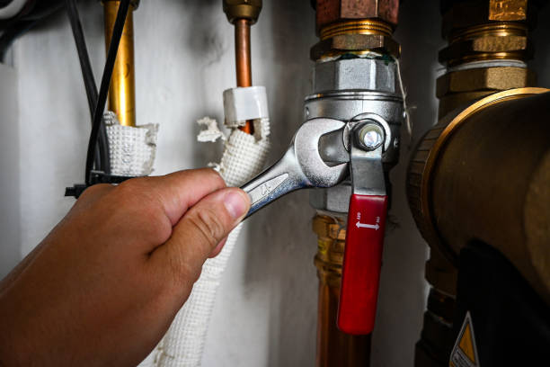 Best Toilet Repair Services  in Osseo, MN